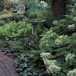 50 Beautiful Side Yard Garden Landscaping Ideas for Your House (42)