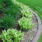 50 Beautiful Side Yard Garden Landscaping Ideas For Your House (5)